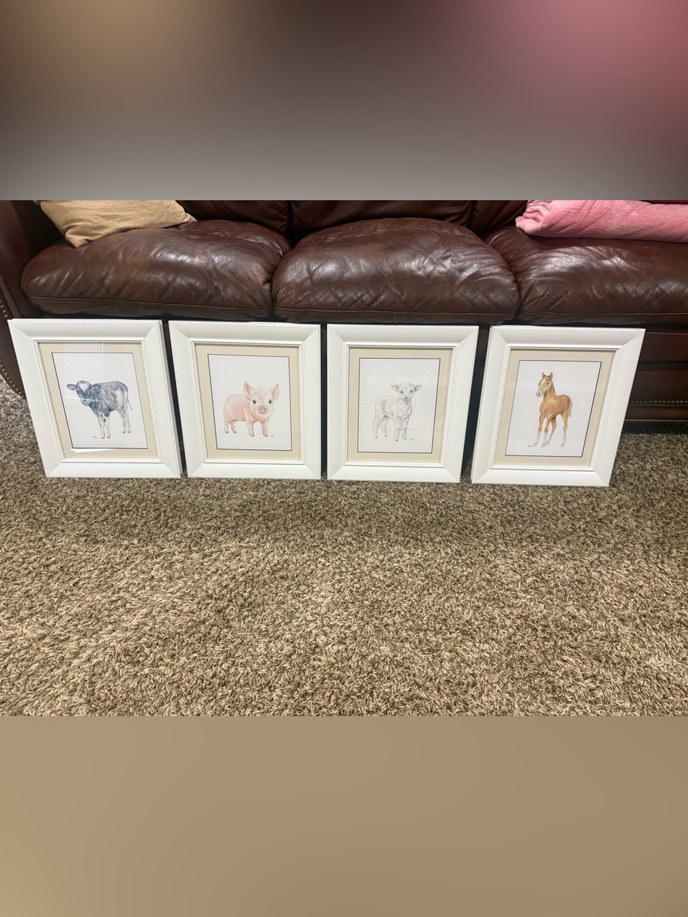 Professional framed 14”x 16” animal prints